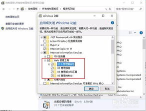 Windows 7 32位系统缺少Internet信息服务（IIS）的可能解决方法与替代方案